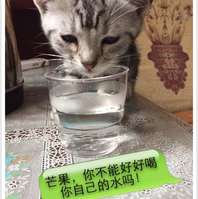 爱德华王子岛大学环境科学学位证书